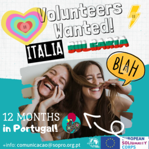 We are looking for 1 volunteer from Italy 🇮🇹