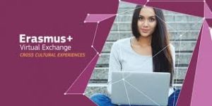Erasmus+ Virtual Exchange Information Forum